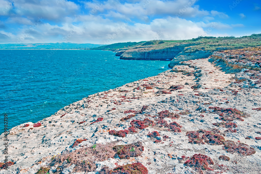 Fototapeta premium rocky shore in Sardinia