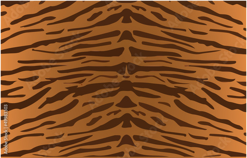 Fototapeta Naklejka Na Ścianę i Meble -  disegno tigrato
