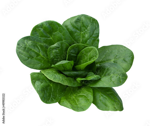 Spinach Isolated