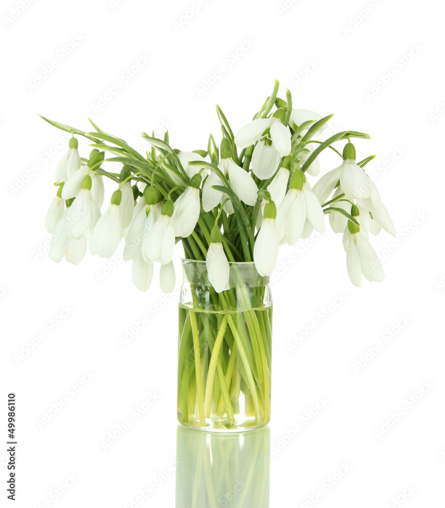 Bouquet of snowdrop flowers in glass vase, isolated on white Bouquet of snowdrop flowers in glass vase, isolated on white