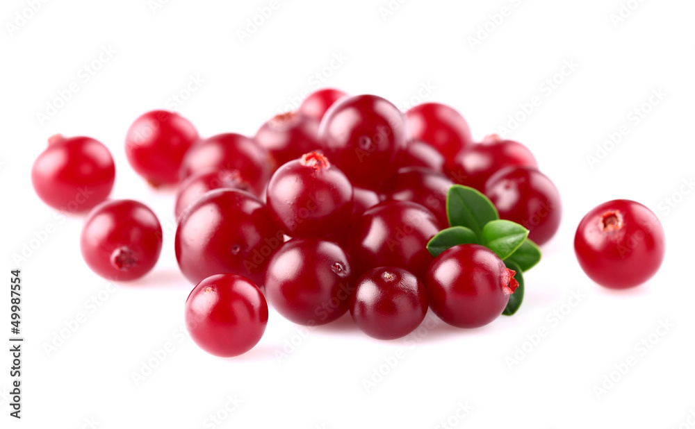 Tasty cranberry with leaves