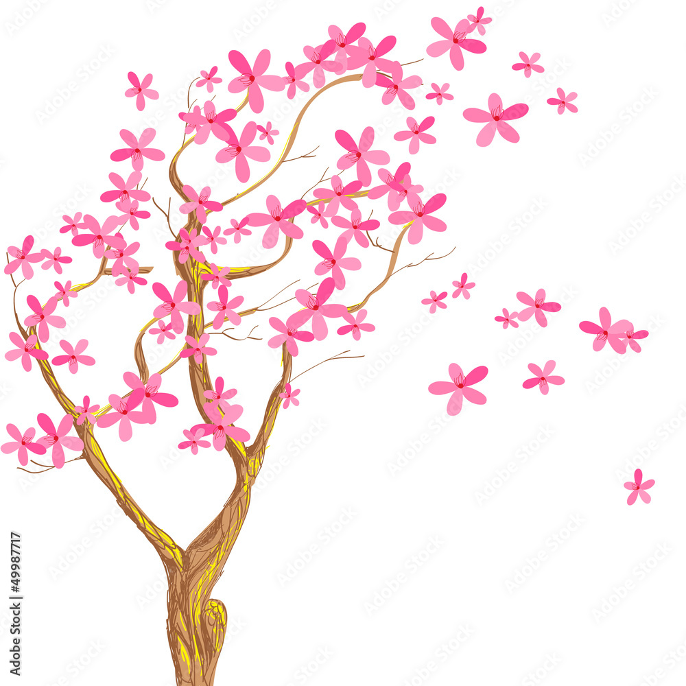 Fototapeta premium Wiśnia w rozkwicie.