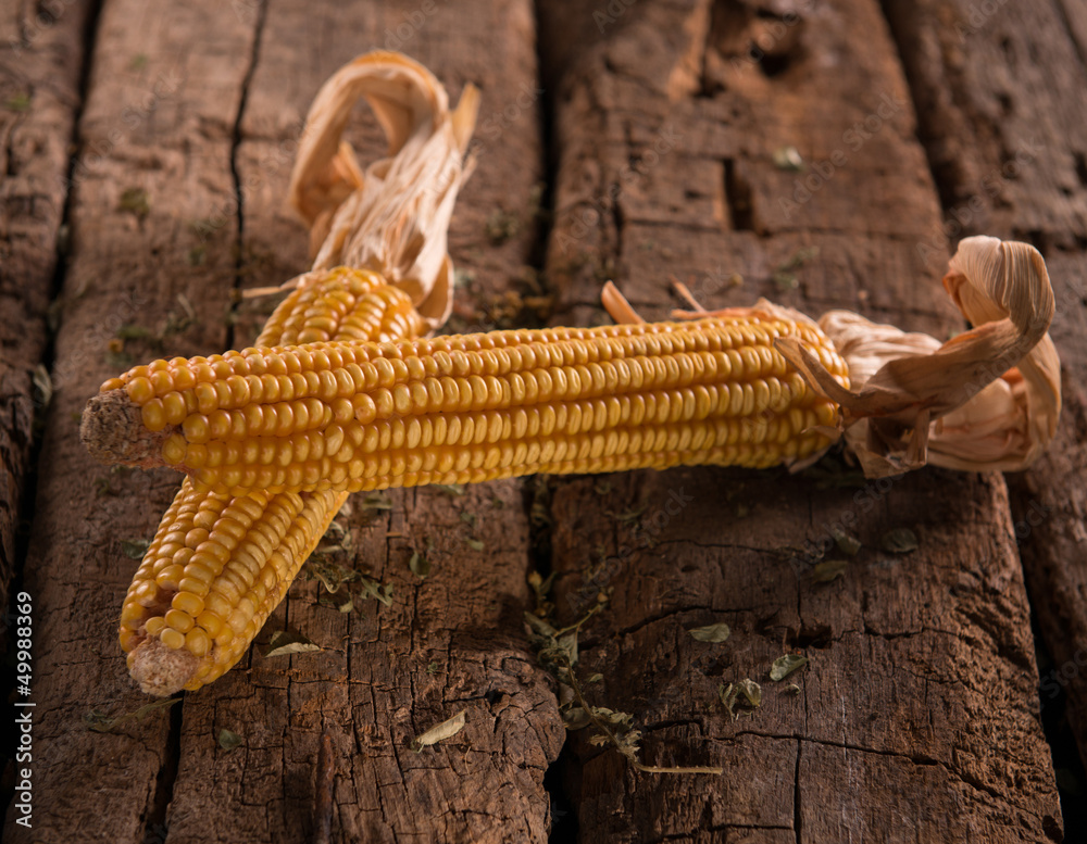 Obraz premium Two dried corns