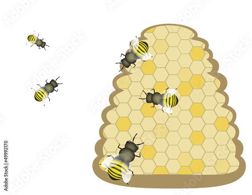 vector bees on a hive