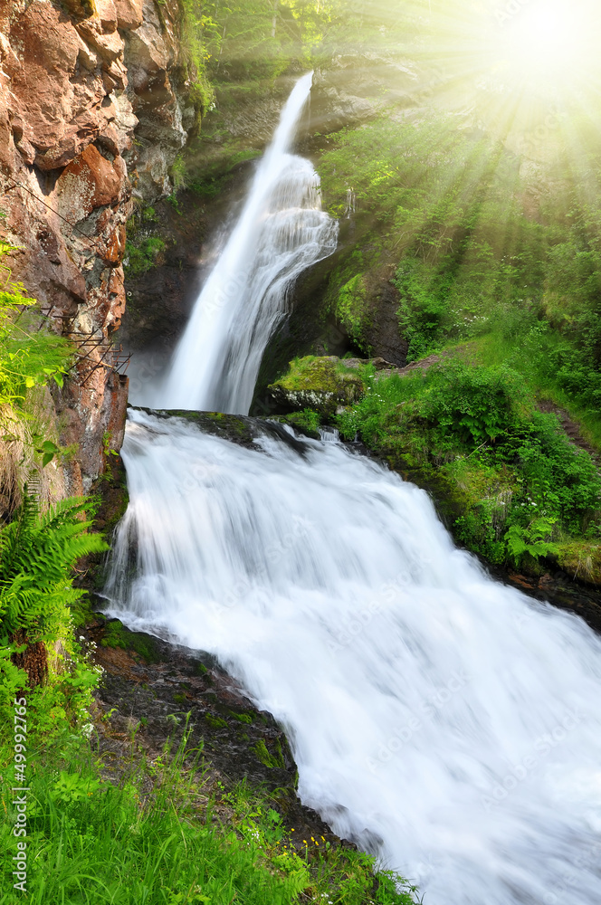 Fototapeta premium Waterfall of Cavalese,Val di Fiemme,Italy