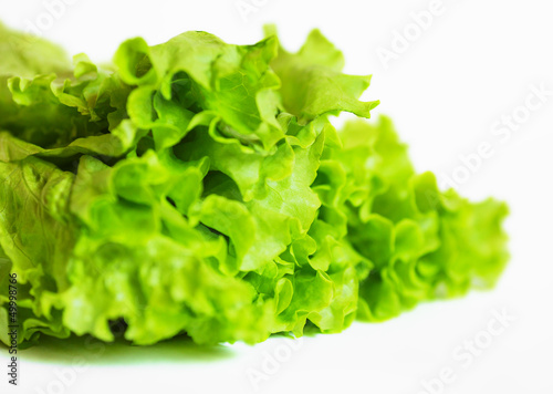 Lettuce isolated on white