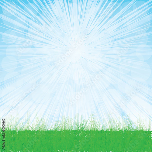 Summer landscape whit grass.
