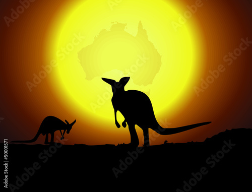 Kangaroo on sunset