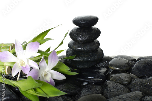 white orchid on pebble and green bamboo leaf