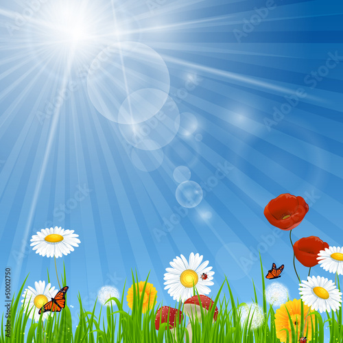 Vector Natural Background with Flowers and Blue Sky