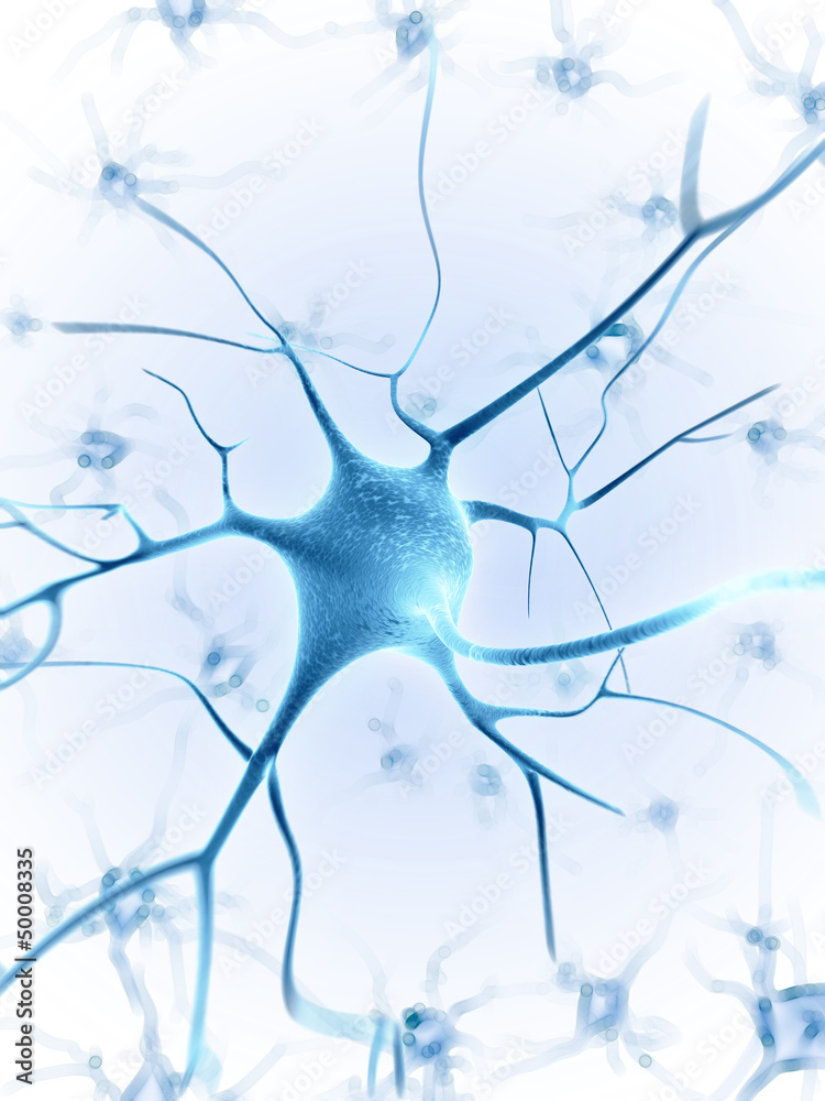 Fotografie 3d rendered illustration of a nerve cell