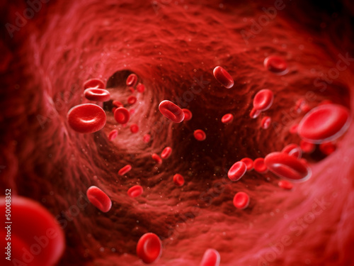 Fotografie 3d rendered illustration of human blood cells