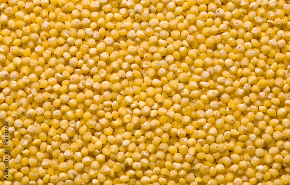 Millet Texture, Millet Texture,