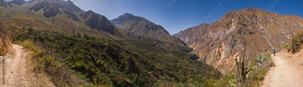 Obraz premium Colca canyon with trekking path