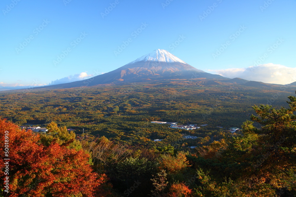 Fototapeta premium Mt. Fuji with Aokigahara forest in autumn, Japan
