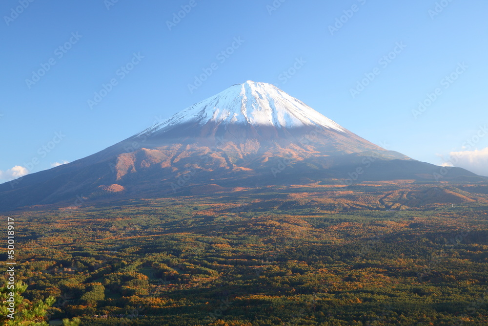 Mt. Fuji with Aokigahara forest in autumn, Japan
