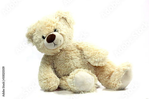 ourson photo