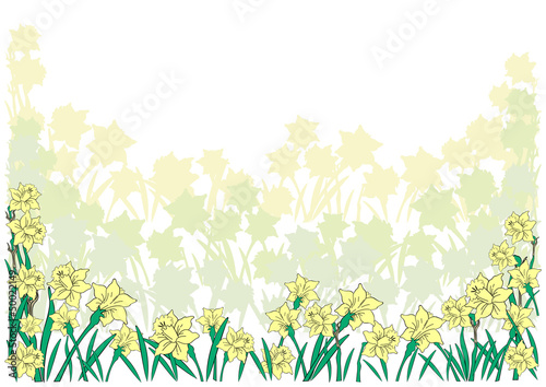 Illustration of abstract narcissi border