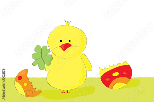 Little chicken and easter egg shells