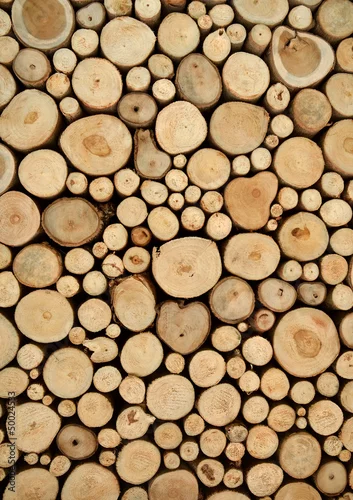 Fototapeta samoprzylepna pniaki tle