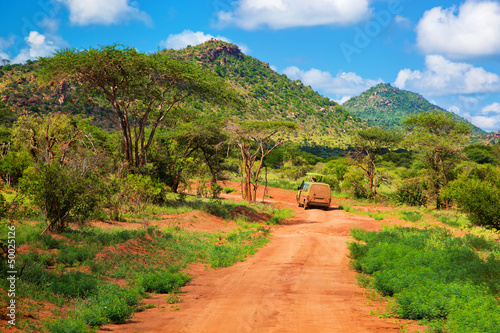 Red ground road, bush with savanna. Tsavo West, Kenya, Africa photo