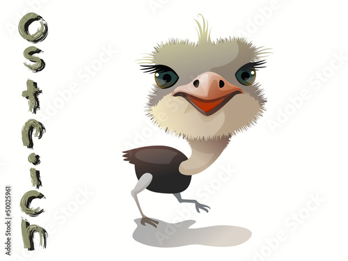 ostrich vector
