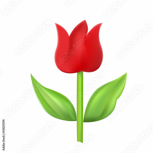 red tulip