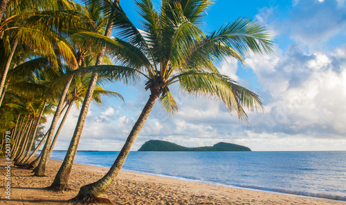 Canvas Print Tropical beach with palm trees