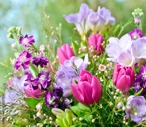 Frühlingserwachen: Blütentraum in lila und pink