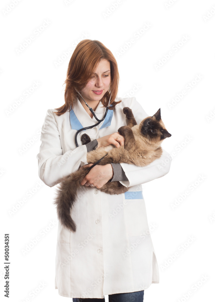vet cat listens through a stethoscope