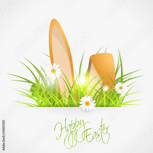 rabbit ears and green fresh grass