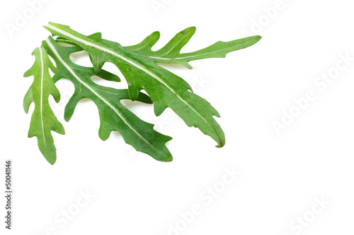 leaves of arugula salad isolated on white background