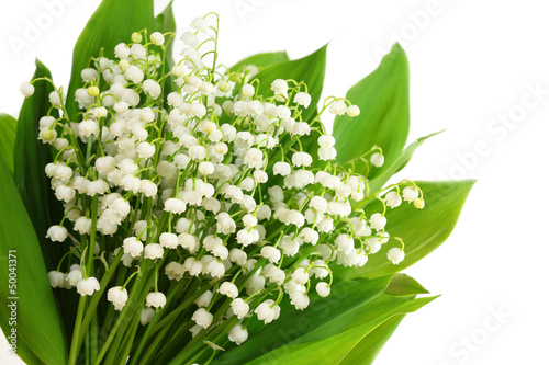 Fototapeta Naklejka Na Ścianę i Meble -  Lily of the valley