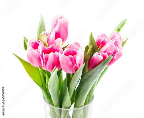 Bouquet of pink tulips in vase