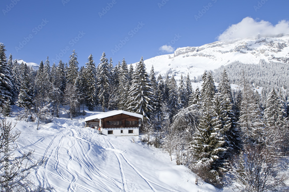 Winter in Swiss alps. Alpine scenery with chalet.