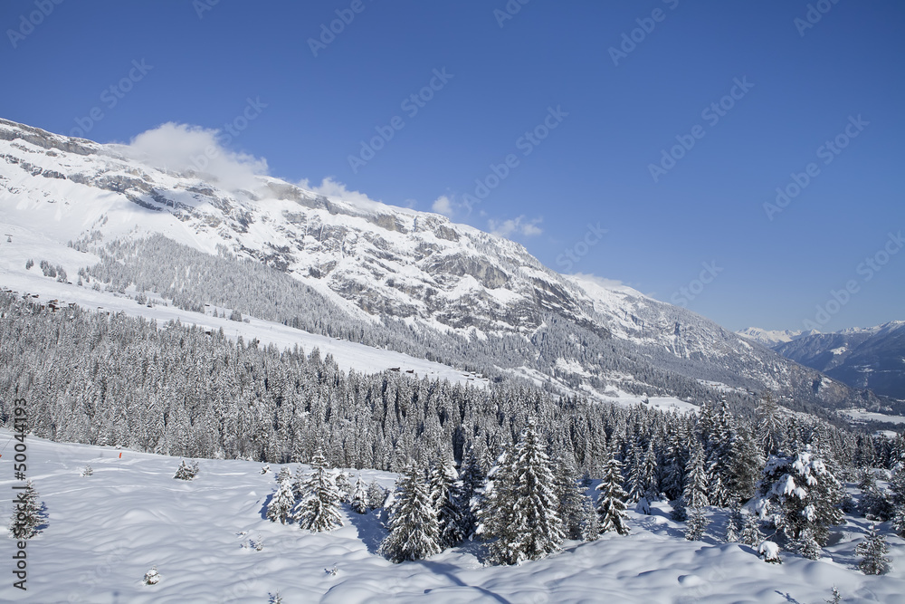 Winter trees in mountains covered with fresh snow. Switzerland,