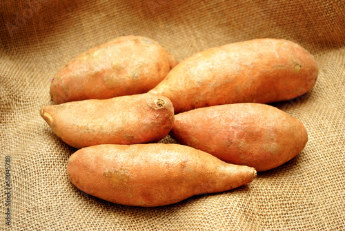 Five Sweet Potatoes on Burlap photo
