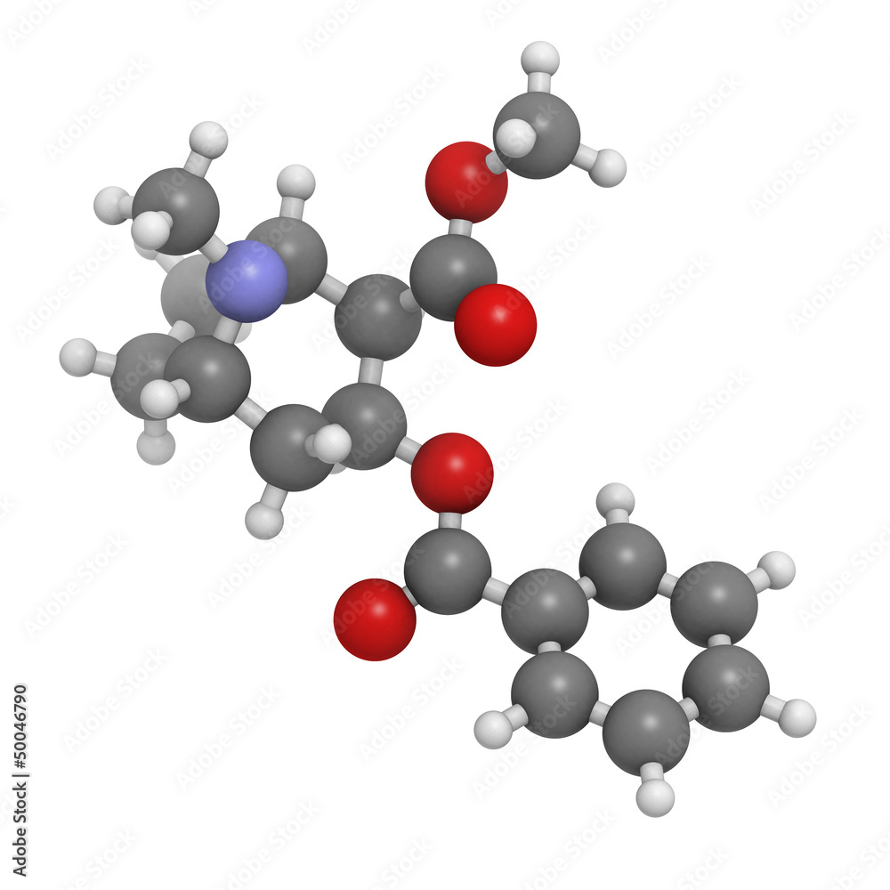 Cocaine drug, molecular model. Cocaine drug, molecular model.