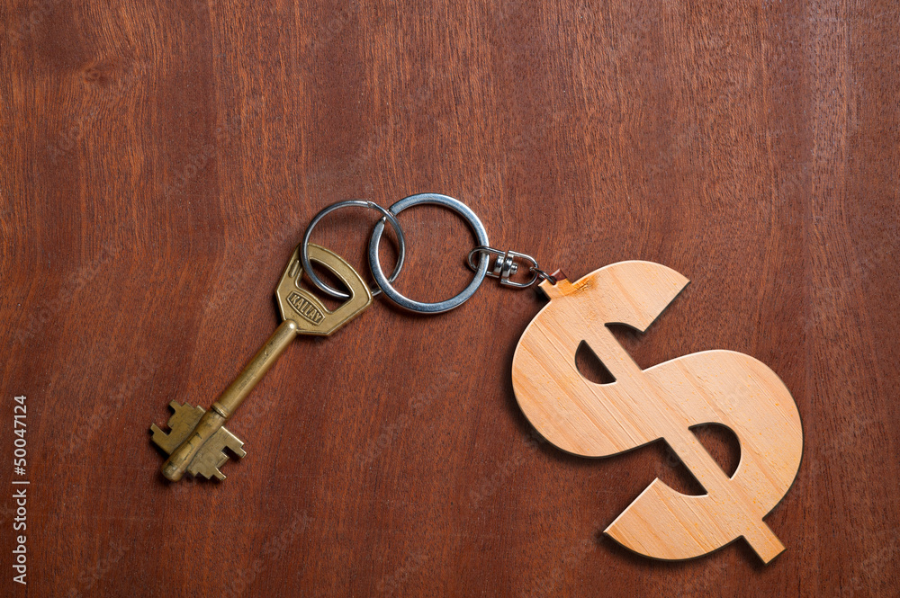 Money key chain. Money key chain.