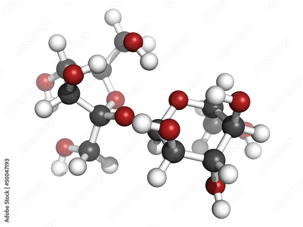Sugar (sucrose, saccharose) molecule, chemical structure Sugar (sucrose, saccharose) molecule, chemical structure