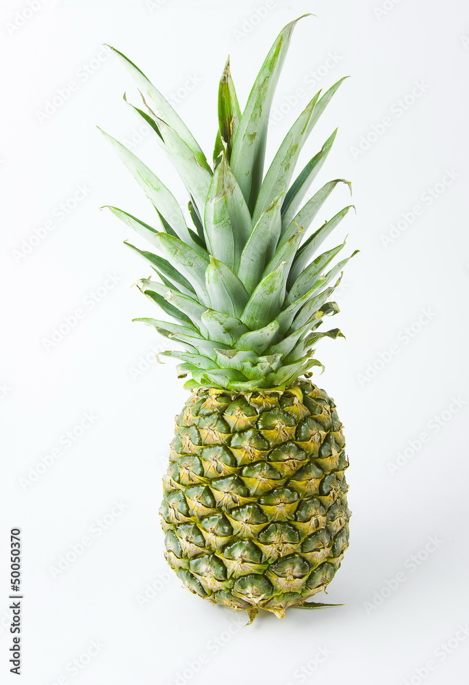 pineapple on a white background pineapple on a white background