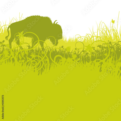 Büffel und Graswiese