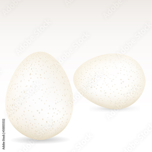 white speckled eggs