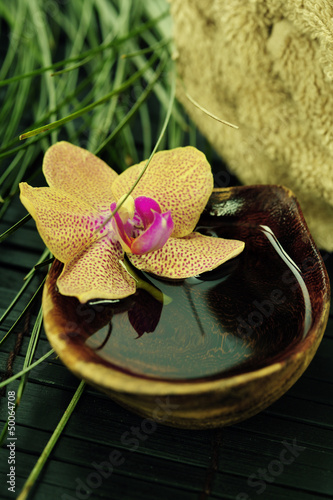 spa composition with beautiful orchid