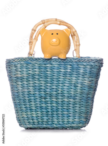 shopping bag with piggy bank