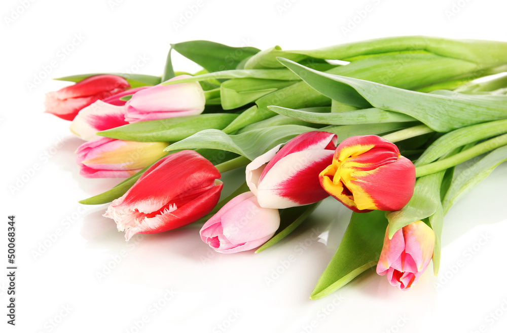 Beautiful tulips in bucket isolated on white Beautiful tulips in bucket isolated on white