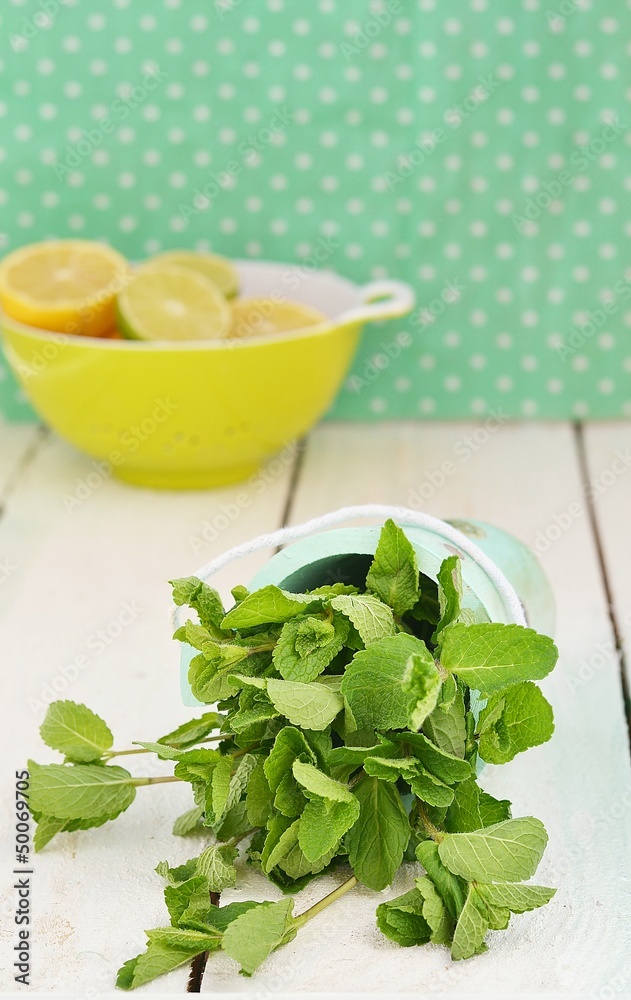 fresh mint fresh mint