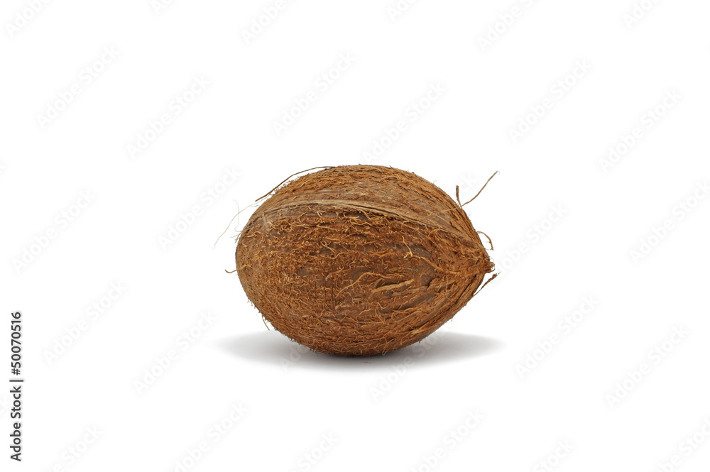 Fresh ripe coconut Fresh ripe coconut