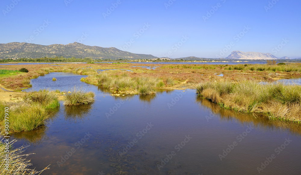 San Teodoro pond