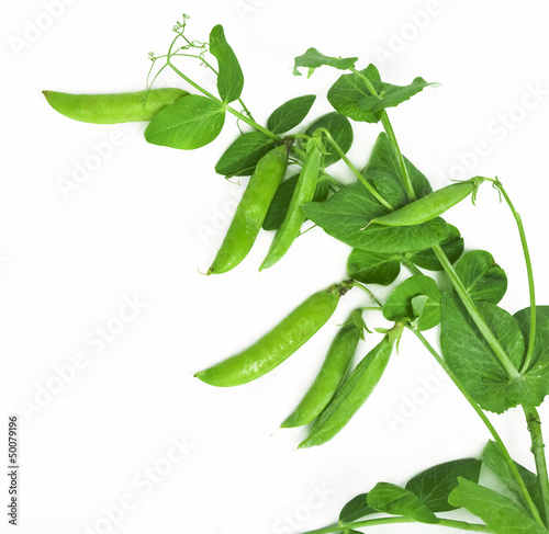 Green peas with leaves